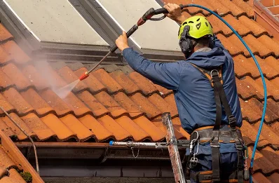 Démoussage et hydrofuge de toiture à Zonza